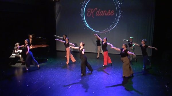 Festival "La danse dans tous ses états" 2026, photo 1