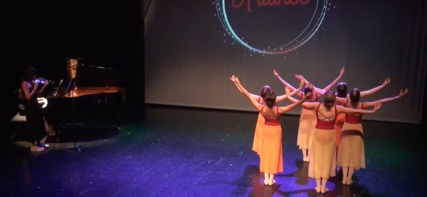 Festival "La danse dans tous ses états" 2026, photo 7