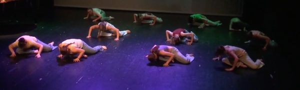 Festival "La danse dans tous ses états" 2026, photo 8