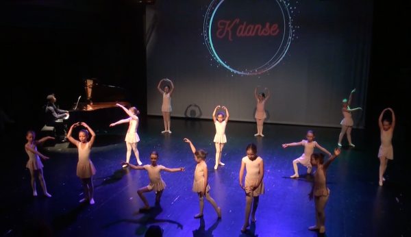 Festival "La danse dans tous ses états" 2026, photo 13