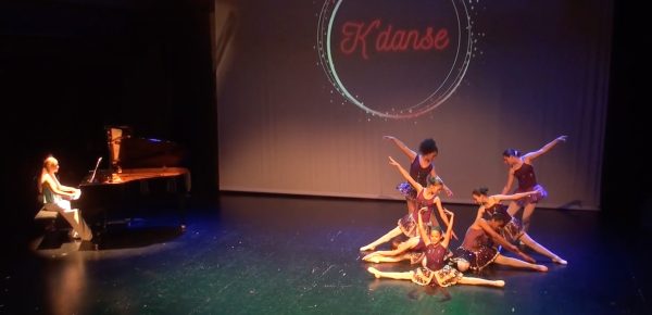 Festival "La danse dans tous ses états" 2026, photo 4