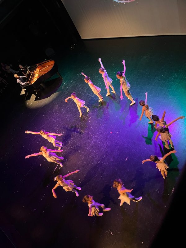 Festival "La danse dans tous ses états" 2026, photo 14