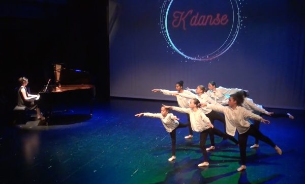 Festival "La danse dans tous ses états" 2026, photo 12