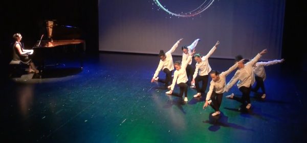 Festival "La danse dans tous ses états" 2026, photo 11