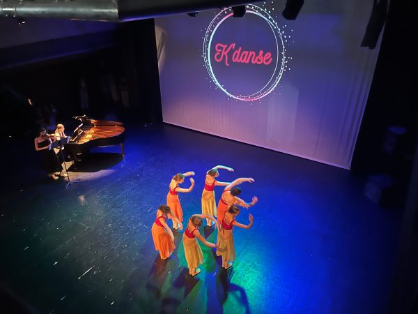 Festival "La danse dans tous ses états" 2026, photo 6