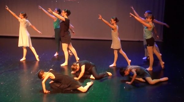 Festival "La danse dans tous ses états" 2026, photo 17
