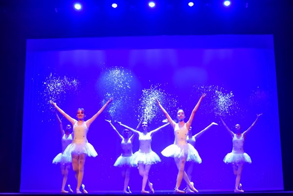 Gala 2025, photo 30
